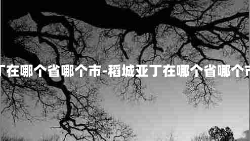 稻城亚丁在哪个省哪个市-稻城亚丁在哪个省哪个市哪个区