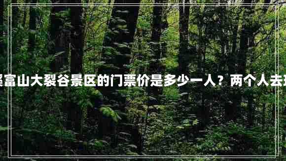 台州宁溪景点(黄岩宁溪富山大裂谷景区的门票价是多少一人？两个人去玩一天大概要多少钱？)