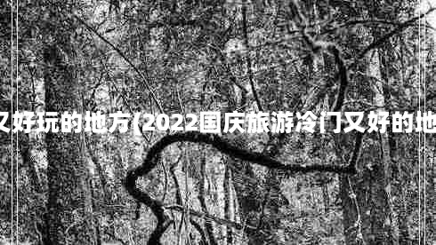 国庆冷门又好玩的地方(2022国庆旅游冷门又好的地方有哪些)