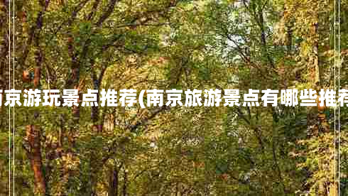 南京游玩景点推荐(南京旅游景点有哪些推荐)