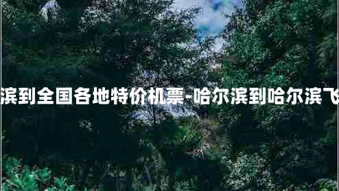 哈尔滨到全国各地特价机票-哈尔滨到哈尔滨飞机票