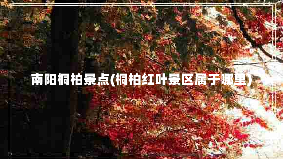 南阳桐柏景点(桐柏红叶景区属于哪里)