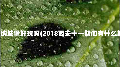 张裕瑞纳城堡好玩吗(2018西安十一期间有什么好玩的)