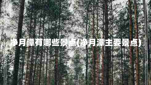 净月潭有哪些景点(净月潭主要景点)