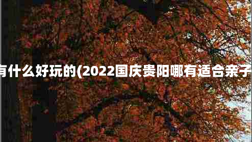 国庆贵阳有什么好玩的(2022国庆贵阳哪有适合亲子游的地方)