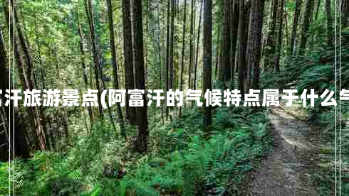 阿富汗旅游景点(阿富汗的气候特点属于什么气候)