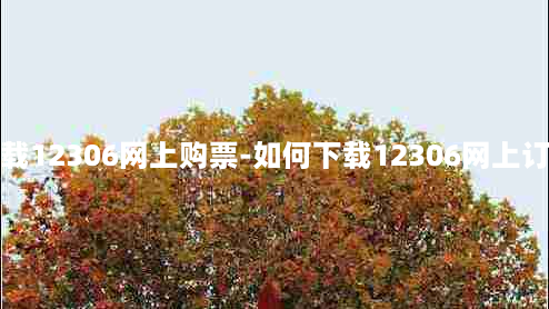 如何下载12306网上购票-如何下载12306网上订票官网