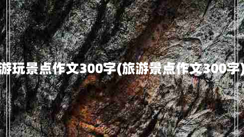 游玩景点作文300字(旅游景点作文300字)