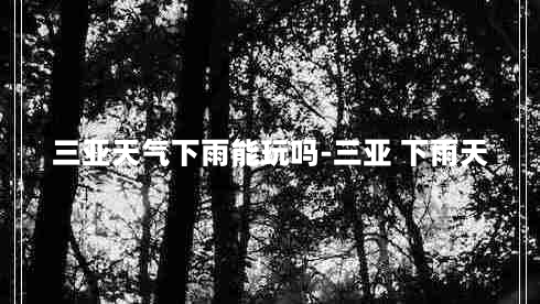 三亚天气下雨能玩吗-三亚 下雨天