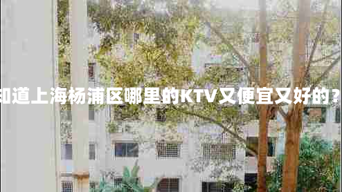 杨浦区好玩的娱乐会所(谁知道上海杨浦区哪里的KTV又便宜又好的？更好附上大概的价目表。)