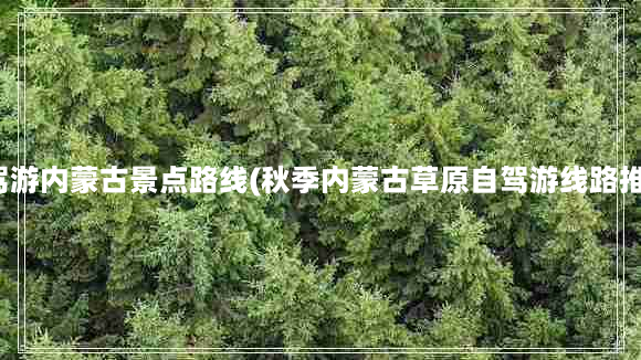 自驾游内蒙古景点路线(秋季内蒙古草原自驾游线路推荐)