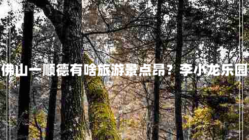 均安附近景点(佛山一顺德（均安）有啥旅游景点昂？李小龙乐园，清晖园除外)