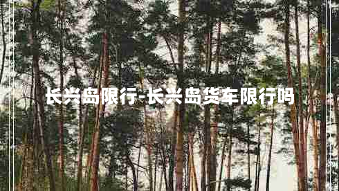 长兴岛限行-长兴岛货车限行吗