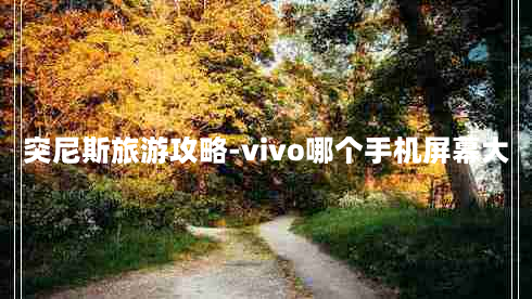 突尼斯旅游攻略-vivo哪个手机屏幕大