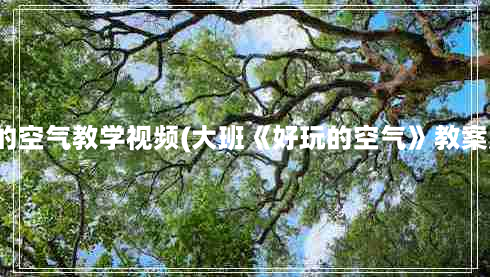 好玩的空气教学视频(大班《好玩的空气》教案反思)