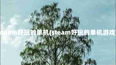 steam好玩的单机(steam好玩的单机游戏)