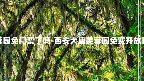 西安市大唐芙蓉园免门票了吗-西安大唐芙蓉园免费开放日门票预约指南