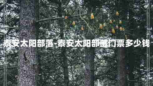 泰安太阳部落-泰安太阳部落门票多少钱