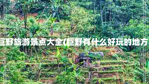 巨野旅游景点大全(巨野有什么好玩的地方)