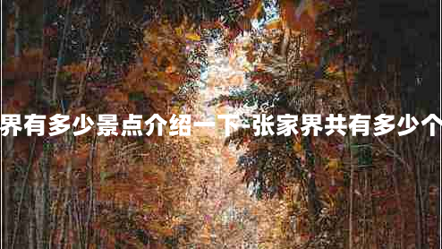 张家界有多少景点介绍一下-张家界共有多少个景点