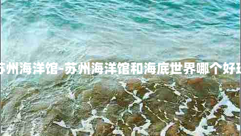 苏州海洋馆-苏州海洋馆和海底世界哪个好玩