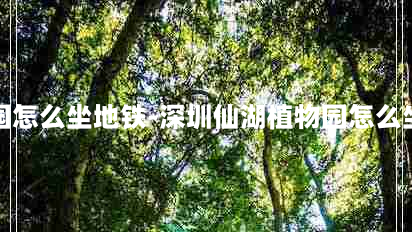 深圳仙湖植物园怎么坐地铁-深圳仙湖植物园怎么坐地铁到深圳湾