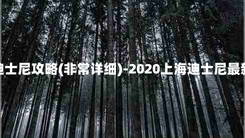 上海迪士尼攻略(非常详细)-2020上海迪士尼最新攻略