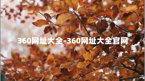 360网址大全-360网址大全官网