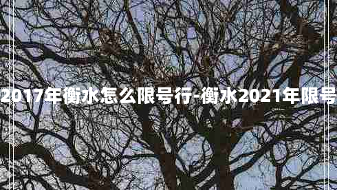 2017年衡水怎么限号行-衡水2021年限号