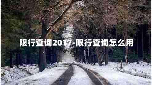 限行查询2017-限行查询怎么用