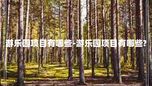 游乐园项目有哪些-游乐园项目有哪些?