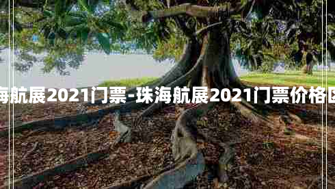 珠海航展2021门票-珠海航展2021门票价格区别