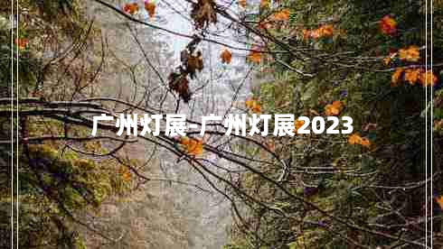 广州灯展-广州灯展2023