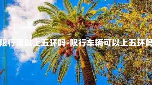 限行可以上五环吗-限行车辆可以上五环吗