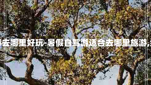 暑假自驾游去哪里好玩-暑假自驾游适合去哪里旅游,经济又实惠