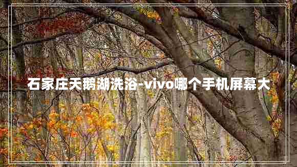 石家庄天鹅湖洗浴-vivo哪个手机屏幕大