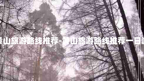 黄山旅游路线推荐-黄山旅游路线推荐一日游