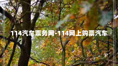 114汽车票务网-114网上购票汽车