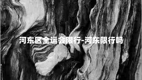 河东区全运会限行-河东限行吗