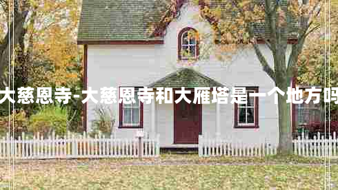 大慈恩寺-大慈恩寺和大雁塔是一个地方吗