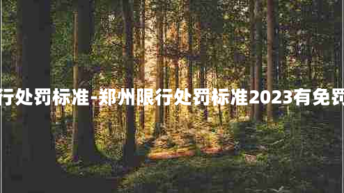 郑州限行处罚标准-郑州限行处罚标准2023有免罚次数吗