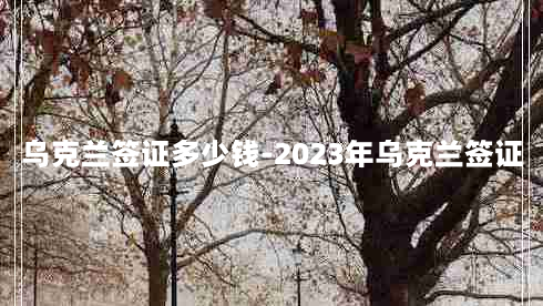 乌克兰签证多少钱-2023年乌克兰签证