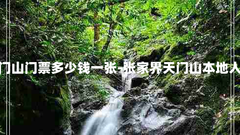 张家界天门山门票多少钱一张-张家界天门山本地人门票价格