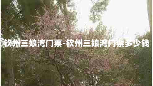 钦州三娘湾门票-钦州三娘湾门票多少钱