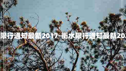 衡水限行通知最新2017-衡水限行通知最新2020年