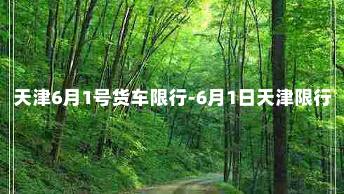 天津6月1号货车限行-6月1日天津限行