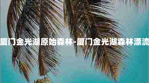 厦门金光湖原始森林-厦门金光湖森林漂流