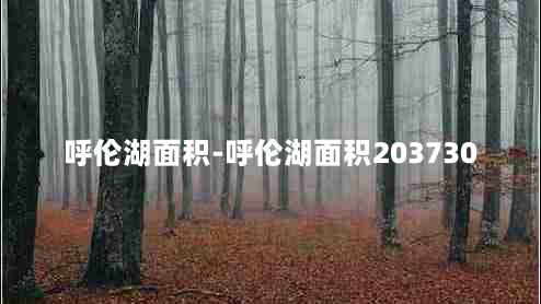 呼伦湖面积-呼伦湖面积203730