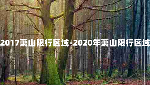 2017萧山限行区域-2020年萧山限行区域