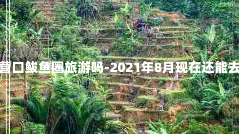 现在可以去营口鲅鱼圈旅游吗-2021年8月现在还能去鲅鱼圈玩吗